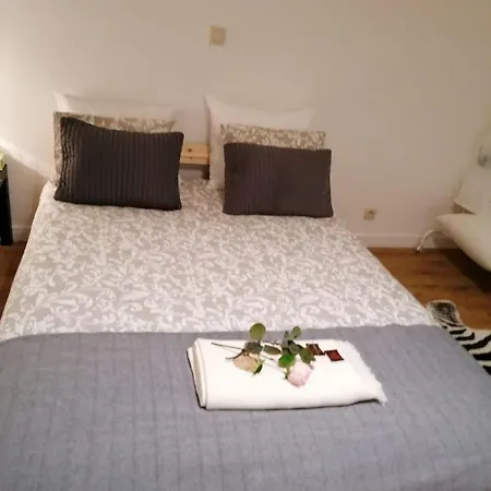 76 Tabakvest Appartamento Anversa